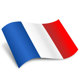 French_Flag_Icon